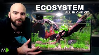 Ecosystem Aquarium In A Nano Kit Tank [upl. by Cadmar]