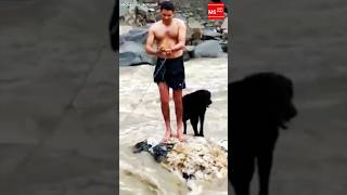 Dog rescued from river floods 🐶  Meghalaya Spotlight [upl. by Araiet]