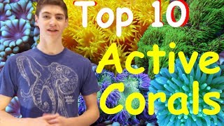 Top 10 Most Active Corals for Reef Tanks [upl. by Nodla]