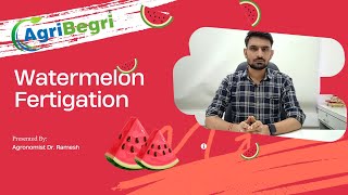 Agribegri Free Advisory  Dr Ramesh  All You Need To Know About Watermelon Fertigation [upl. by Ellehcsor]