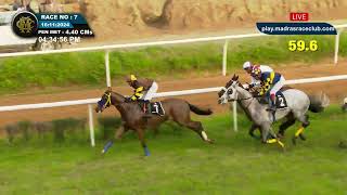 RACE NO  74  BRILLIANT LADY WINS  The Baaeed Handicap Div1 [upl. by Atilef]