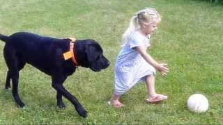 Child and Dog Play Ball [upl. by Ahsan304]