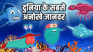 दुनिया के सबसे अनोखे जानवर  Weird Animals In The World In Hindi  DrBinocs  Educational Videos [upl. by Victoria]