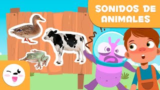 Los SONIDOS DE LOS ANIMALES para niños  Episodio 1 [upl. by Chuch812]