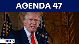 Trumps quotAgenda 47quot calls for sweeping changes to federal workforce [upl. by Orutra]