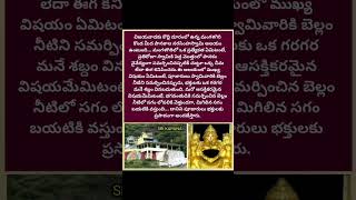 Mystery of Mangalagiri Panakala Swamy [upl. by Yffub]