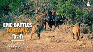 Epic Battles तंजानिया 2023 हिन्दी डॉक्यूमेंट्री  Wildlife documentary in Hindi [upl. by Latrina]