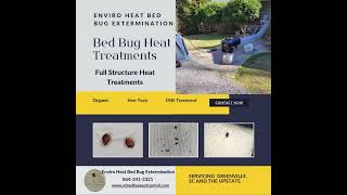 Enviro Heat Bed Bug Extermination Greenville SC bedbugscontrol bedbuginfestation bedbugservice [upl. by Enrobso]