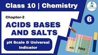 pH Scale  Universal Indicator  Class 10 Science  Chemistry [upl. by Meingoldas]