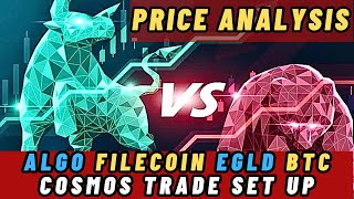 Price Analysis  ALGO FILECOIN EGLD BTC COSMOS TRADE SET UP [upl. by Eerahs]