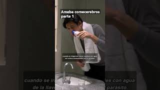 🔬Naegleria fowleri la ameba COMECEREBROS PARTE 1🔴 microbiología parasitologia enfermedadesraras [upl. by Horbal673]