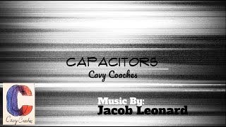 Capacitors [upl. by Hanid]