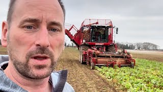 VERVAET BEET EATER HARVESTER DOES JUST THAT britishfarming [upl. by Suired]