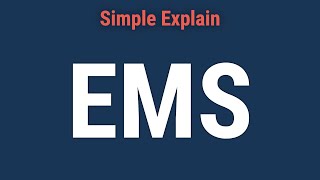 What Is the European Monetary System EMS [upl. by Lauder305]