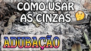 Como usar as cinzas na adubação [upl. by Ocnarfnaig679]