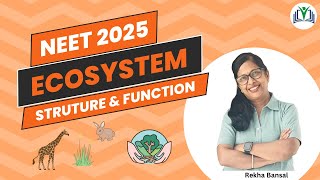 Chapter 12 Ecosystem Revision of Structure and Function in one shot [upl. by Rosdniw169]