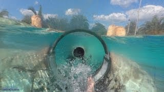 Dolphin Plunge Body Slide Both Slides HD POVS Aquatica Seaworld Water Park Orlando [upl. by Aiekal]