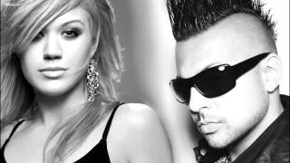 She Doesnt Kill You  Kelly Clarkson  Sean Paul MASHUP [upl. by Vassily]