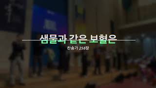 열린예배  그사랑얼마나  새롭게하소서  샘물과같은보혈은찬258  하나님의독생자찬171 산성찬양 주일콘티 [upl. by Corley]