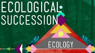 Ecological Succession Change is Good  Crash Course Ecology 6 [upl. by Male176]