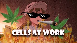 Cells at Work ON CRACK Hataraku Saibou [upl. by Fairlie897]