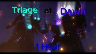 Triage at Dawn 1 Hour [upl. by Gilliam]