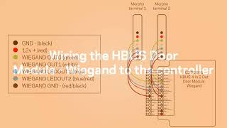 IDEMIA Morpho Wiring HBUS 4 in 2 Out Door Module Wiegand Varient C300665 3 [upl. by Debbie241]