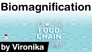 What is Biomagnification Difference in Biomagnification Bioaccumulation amp Bioconcentration UPSC [upl. by Herodias435]