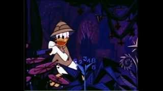 Donald au Pays des Mathémagiques 1959  Walt Disney [upl. by Yelahc]