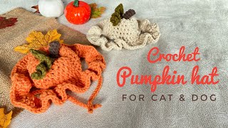 Crochet Pumpkin Hat For Cats and Dogs 🎃  Spooky Season Edition 🎃 [upl. by Annavaig476]