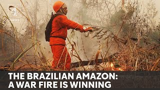 Fighting raging Amazon rainforest fires in Brazil [upl. by Jovitta]