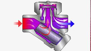 Steam Trap  Thermodynamic  How it Works [upl. by Barcellona530]