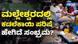 Malleshwara Kadlekaayi Parishe 2024  ಮಲ್ಲೇಶ್ವರದಲ್ಲಿ ಕಡಲೆಕಾಯಿ ಪರಿಷೆ ಹೇಗಿದೆ ಸಂಭ್ರಮ [upl. by Allenrac]