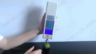 Digital Fruit Sclerometer GY4 [upl. by Pudendas319]