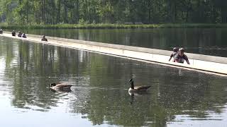 Fietsen door het water in Bokrijk [upl. by Lemkul]