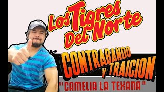 Como tocar  Contrabando y Traicion  Los Tigres del Norte  Análisis [upl. by Carrnan]