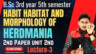 Habit Habitat and Morphology of Herdmania BSc3rd Year 5th Semester Zoology 2nd Paper  eduboosters [upl. by Eelyk]