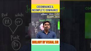 What is Codominance and Incomplete Dominance  Biology 12th shorts neet class12 [upl. by Eidda]