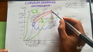 FISIOLOGÍA RESPIRATORIA  CURVA DE LA OXIHEMOGLOBINA [upl. by Oos]