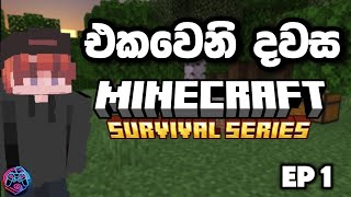 එකවෙනි දවස  I created a new survival world in minecraft  first day  Sinhala game play [upl. by Akcinahs]