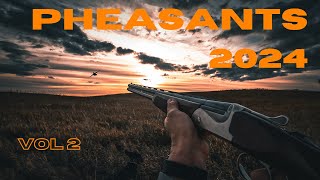 Pheasant Hunting Vol 2  2024 [upl. by Althea]