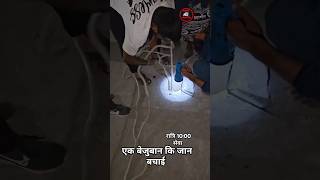 20 फुट गहरे पाईप में फसे छोटे dog 🐕 कि जान बचाईcowdogsrescueshortsreels [upl. by Ephrayim]