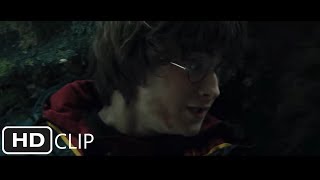 Hes Back  Harry Potter and the Goblet of Fire 55 Movie CLIP 2005 HD [upl. by Ahsiemac]