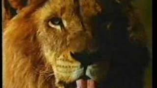 Lion Bar  1991 UK Advert [upl. by Hahsi]