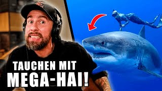 SKANDAL INFLUENCERIN streichelt MONSTERHAI  Macht DAS niemals  Robert Marc Lehmann [upl. by Assirod]