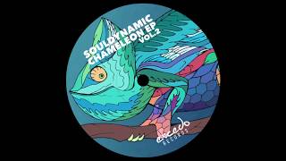 Souldynamic  Akinesia Chameleon EP Vol2  Excedo Records [upl. by Rhee]