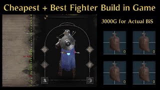 The Best and Cheapest Fighter Build Guide  3000g for BIS  Dark and Darker [upl. by Annaeg]