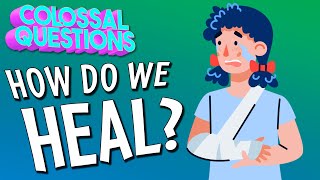 How Do We Heal  COLOSSAL QUESTIONS [upl. by Aissat]