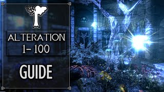 Skyrim  Level Up Alteration To 100 FAST 2024 [upl. by Hadden691]