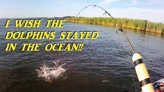 KAYAK FISHING POST DOLPHIN INVASION [upl. by Robenia]